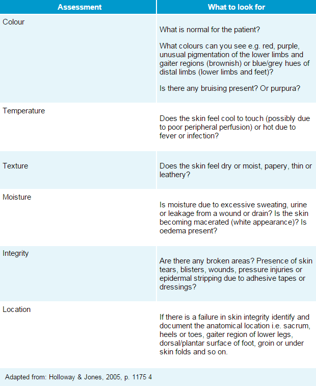 Skin Assessment Charting Examples