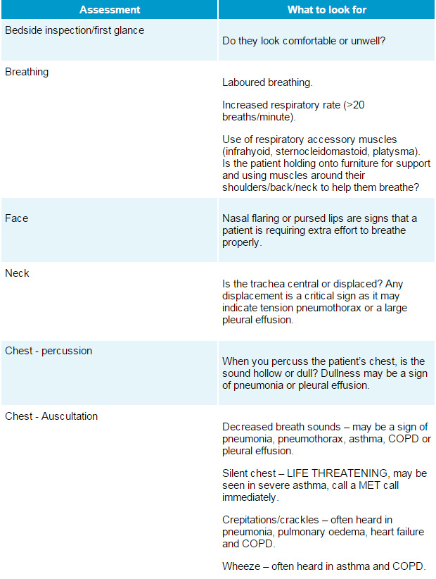 Respiratory Assessment For Nurses Healthtimes